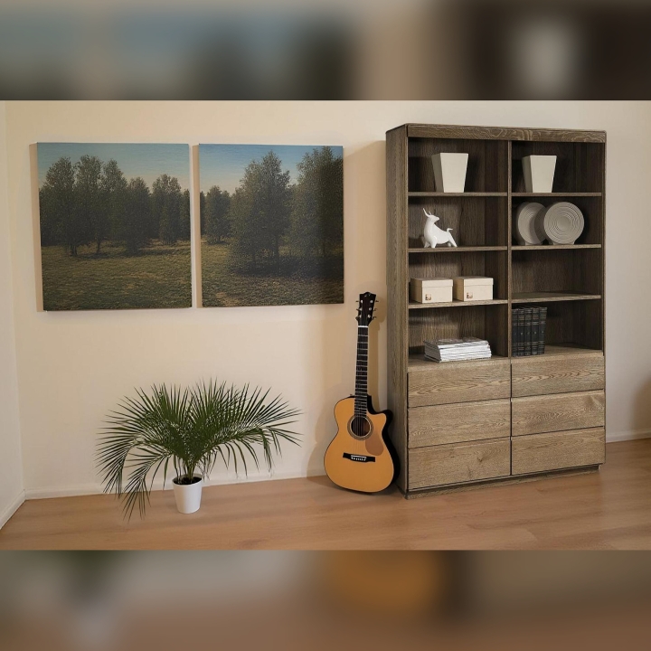 Regał dębowy II Atlanta palony