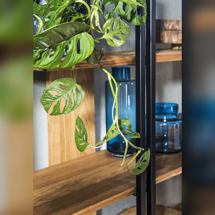 Regał dębowy Vigo olej natura