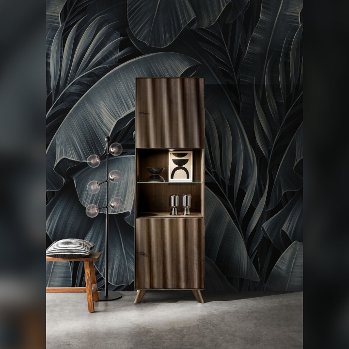 Witryna bukowa I Doryda buk tabak