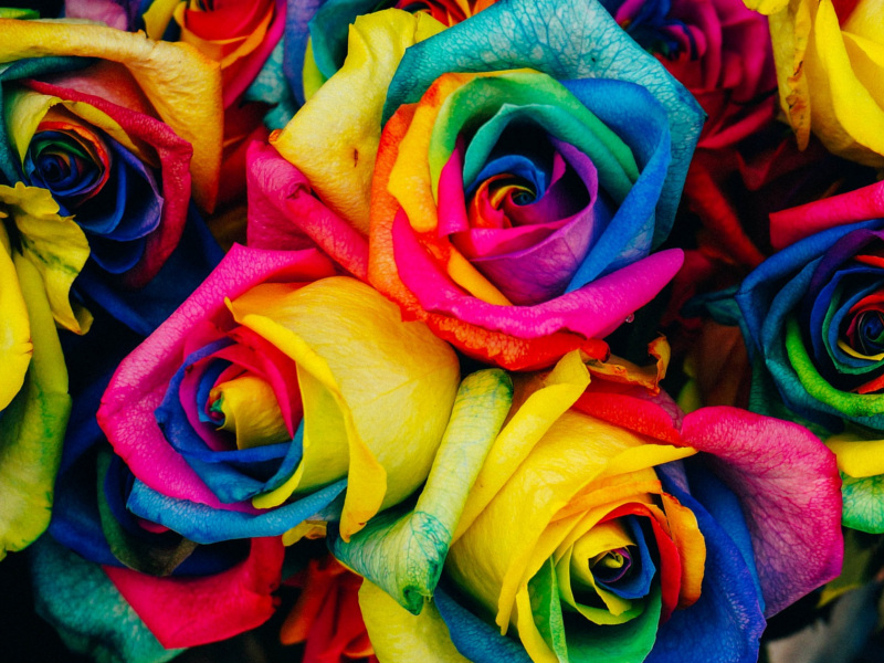 Jak dobierać kolory w mieszkaniu?