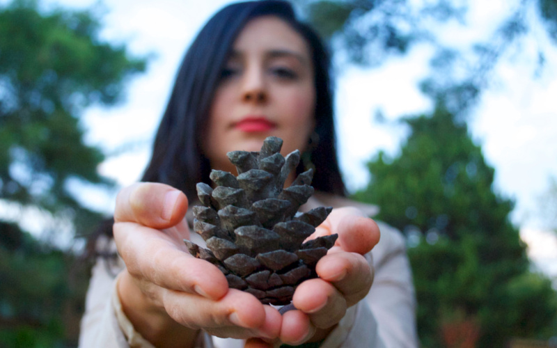 Łóżko sosnowe 160x200 czyli najpopularniejszy wybór do sypialni