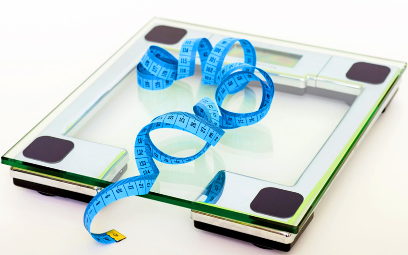 Łóżko dla puszystych