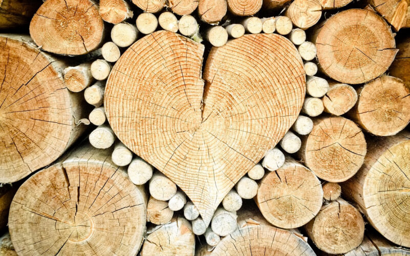 Drewno twardzielowe zalety