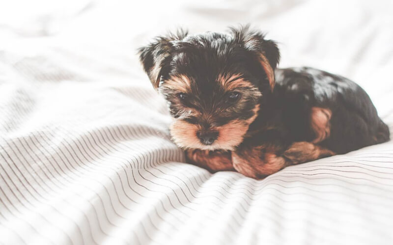 Czy łóżko do sypialni 140x200 jest wystarczająco duże?